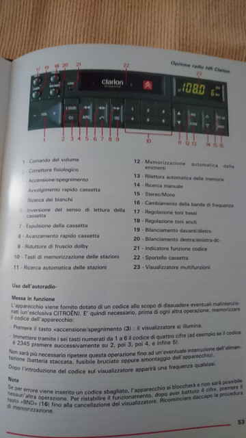 DSC 1919