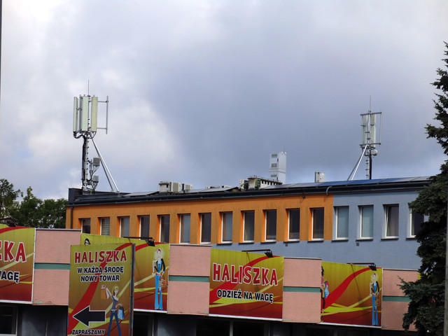 IMG-4618