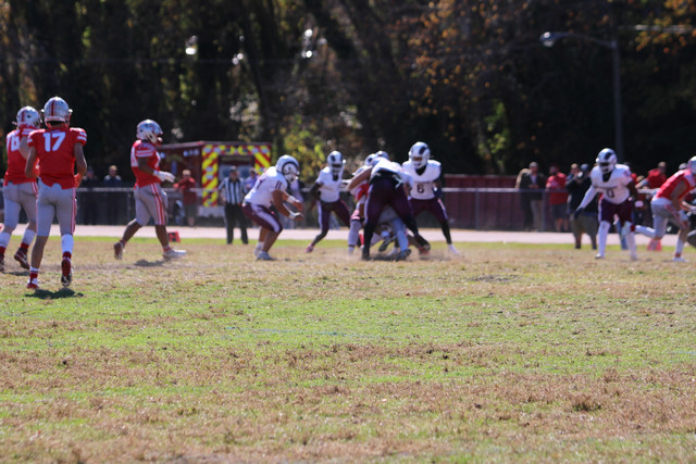 IMG-0722.jpg