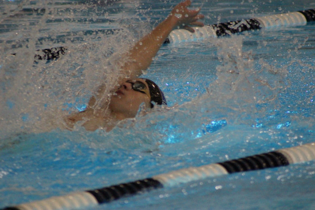 IMG-0236