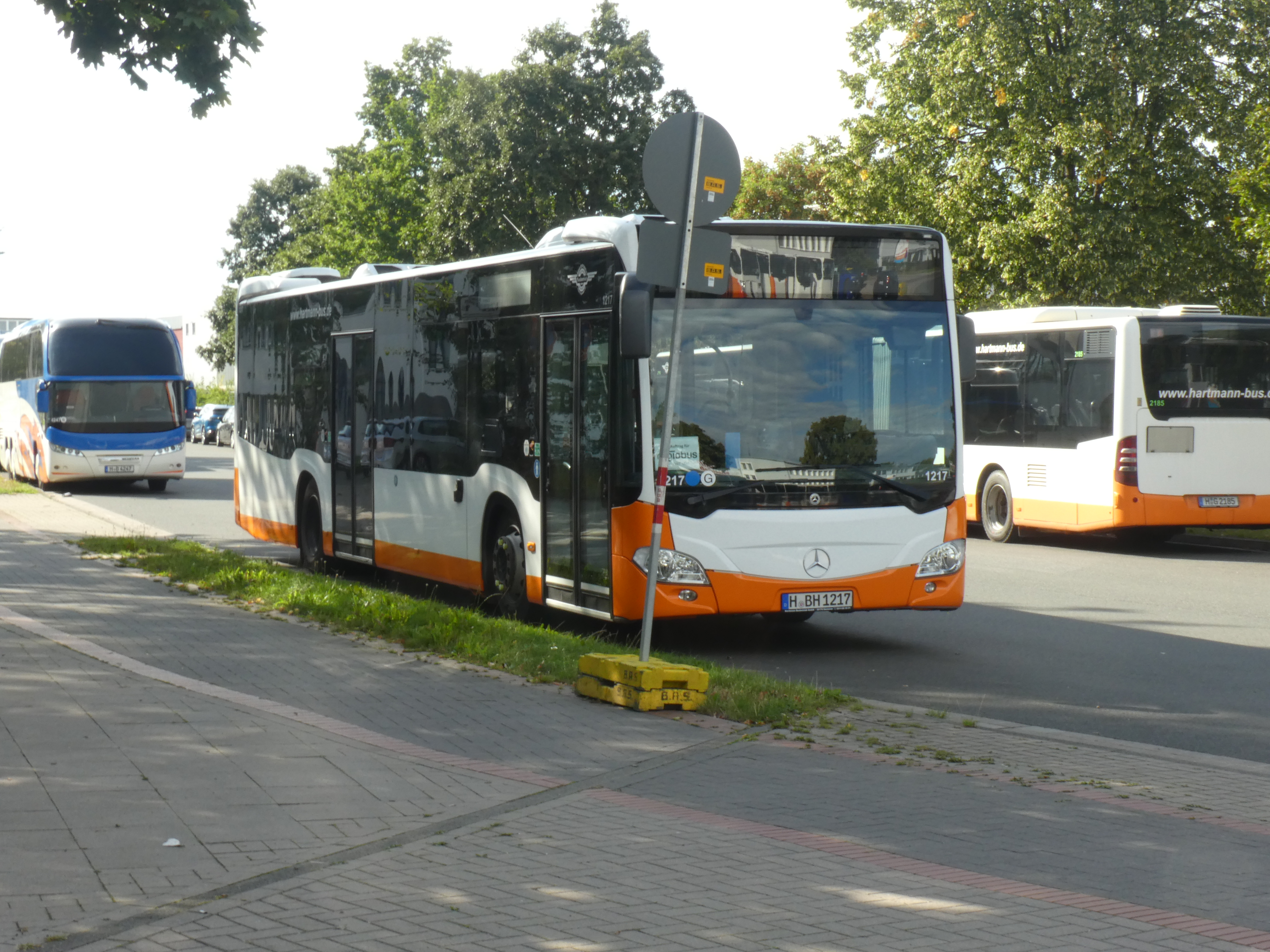 i.ibb.co/1phd0W1/Hartmann-1217-1.jpg