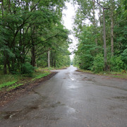 IMG-6063