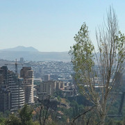 IMG-0868