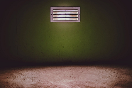 Mold-Removal-Toronto