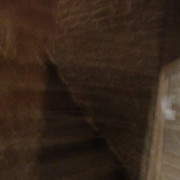 IMG-6929