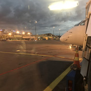 IMG 5293