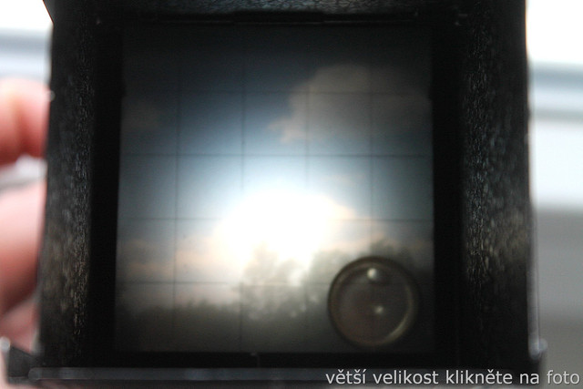 IMG-3121