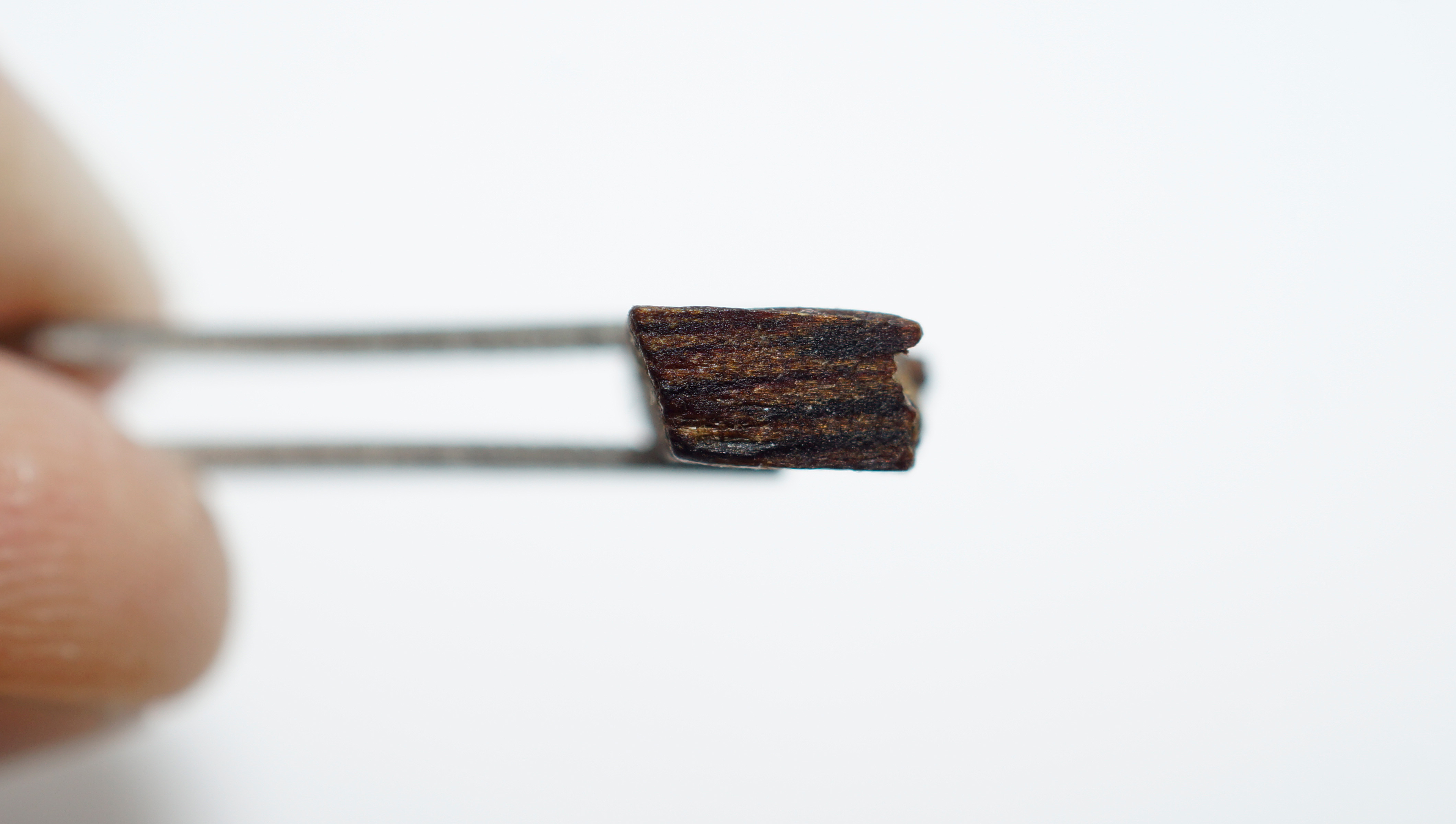 [Ouddict.com] Oud Wood