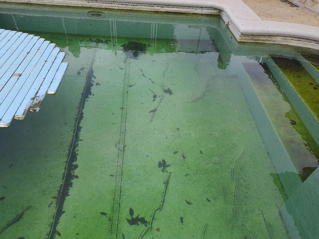 pool1