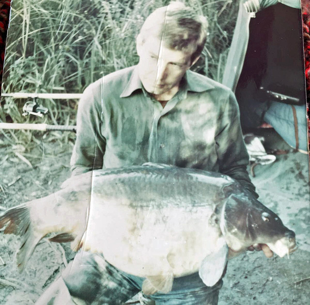harefield-3