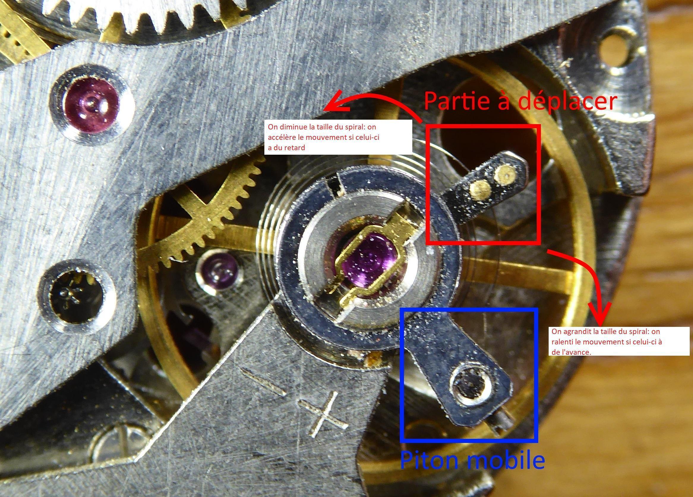 https://i.ibb.co/1r1jpJ5/Raquette.jpg