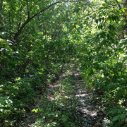 IMG-4188
