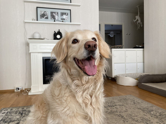 C6-E01941-0-C4-D-4-F16-B8-AA-4-B7288-DB2