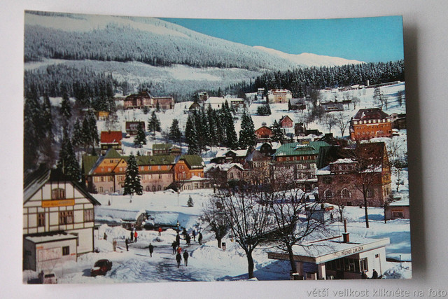 IMG-6489.jpg