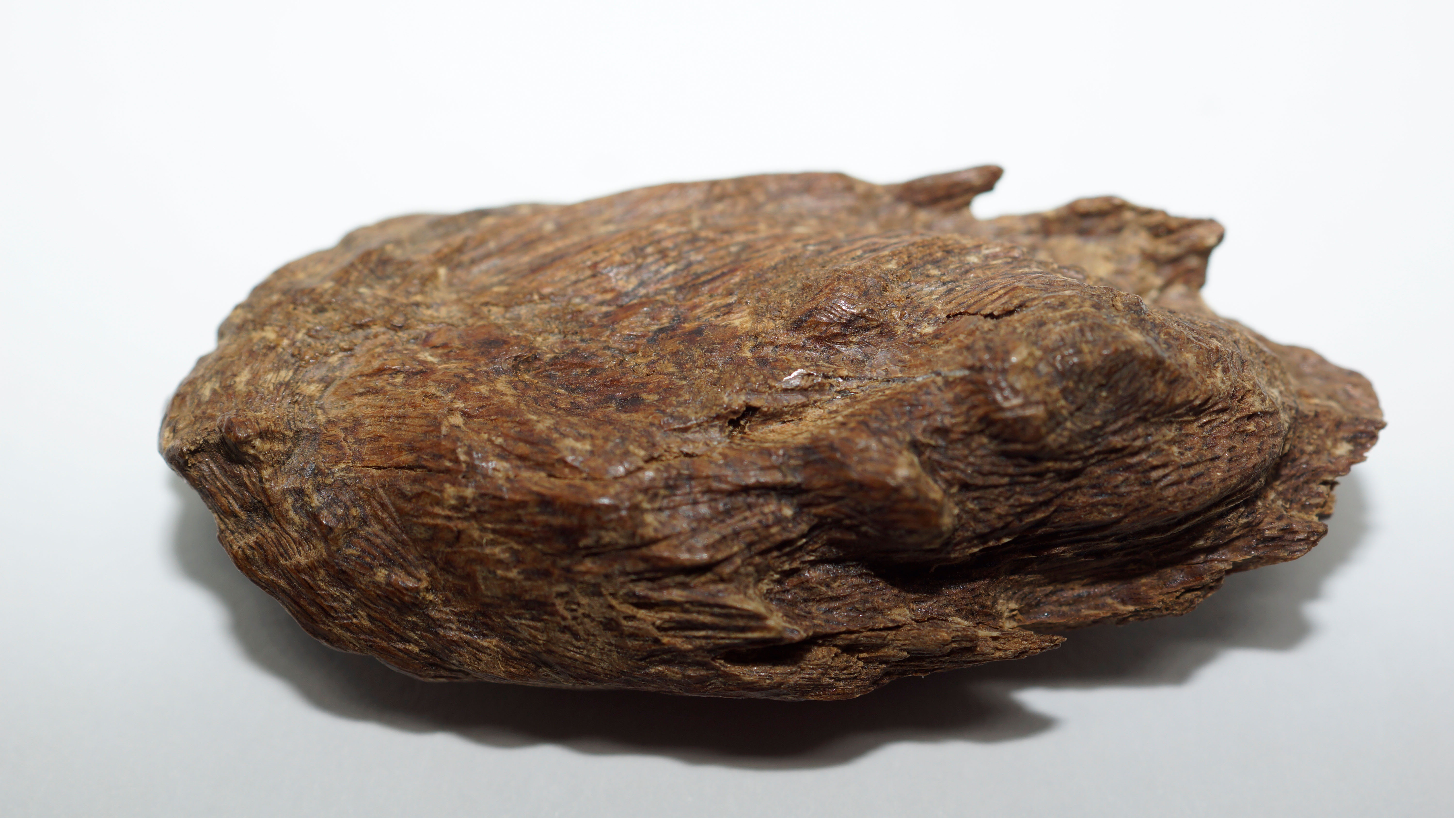 [Ouddict.com] Oud Wood
