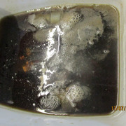 IMG-6063