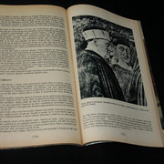 IMG-9412