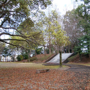 DSC-0098