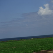 DSCF7941