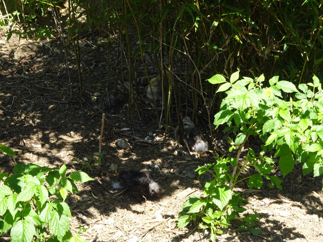 DSC03360.jpg