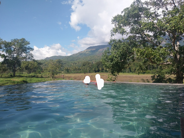 IMAG0411-2.jpg