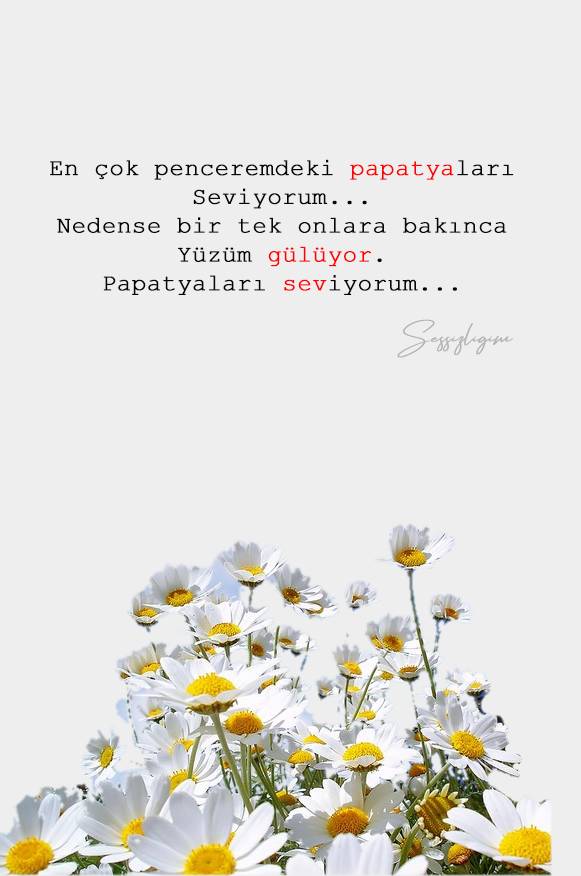 xvcvx-Untitled-1.png