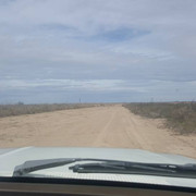 Local drive by Feb 28