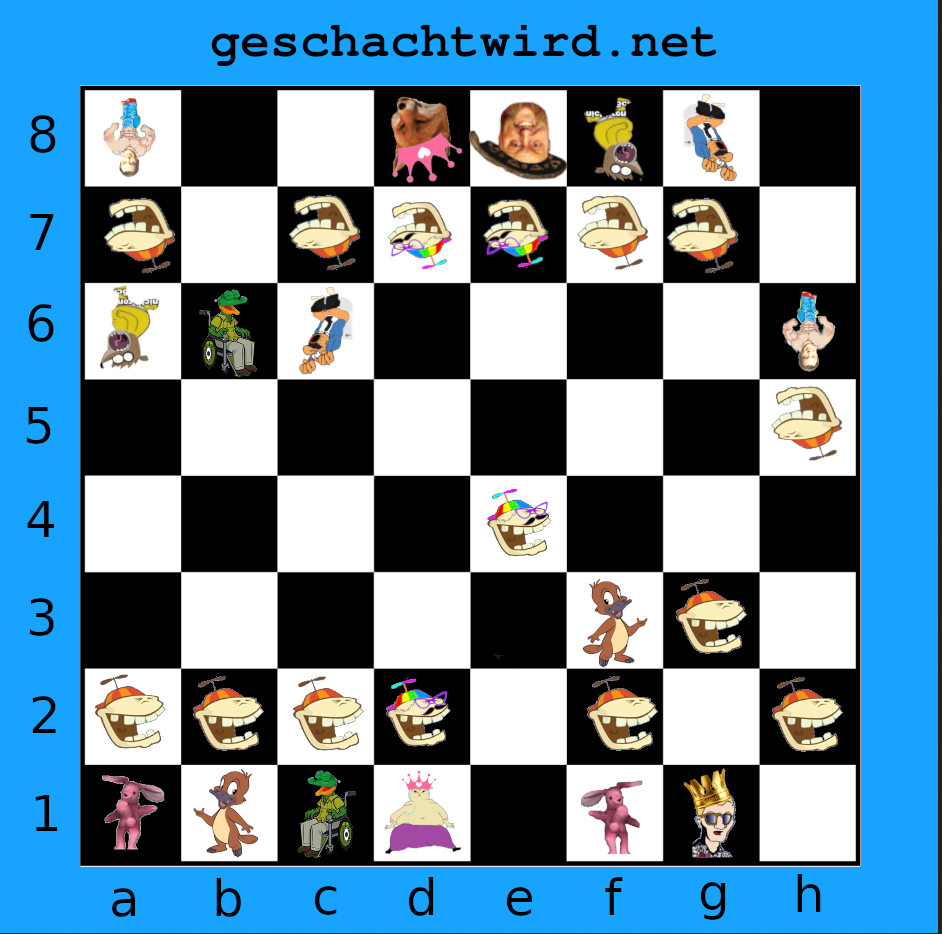 4dschach.jpg