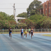 IMG-0338