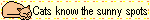 IMG 0299.gif