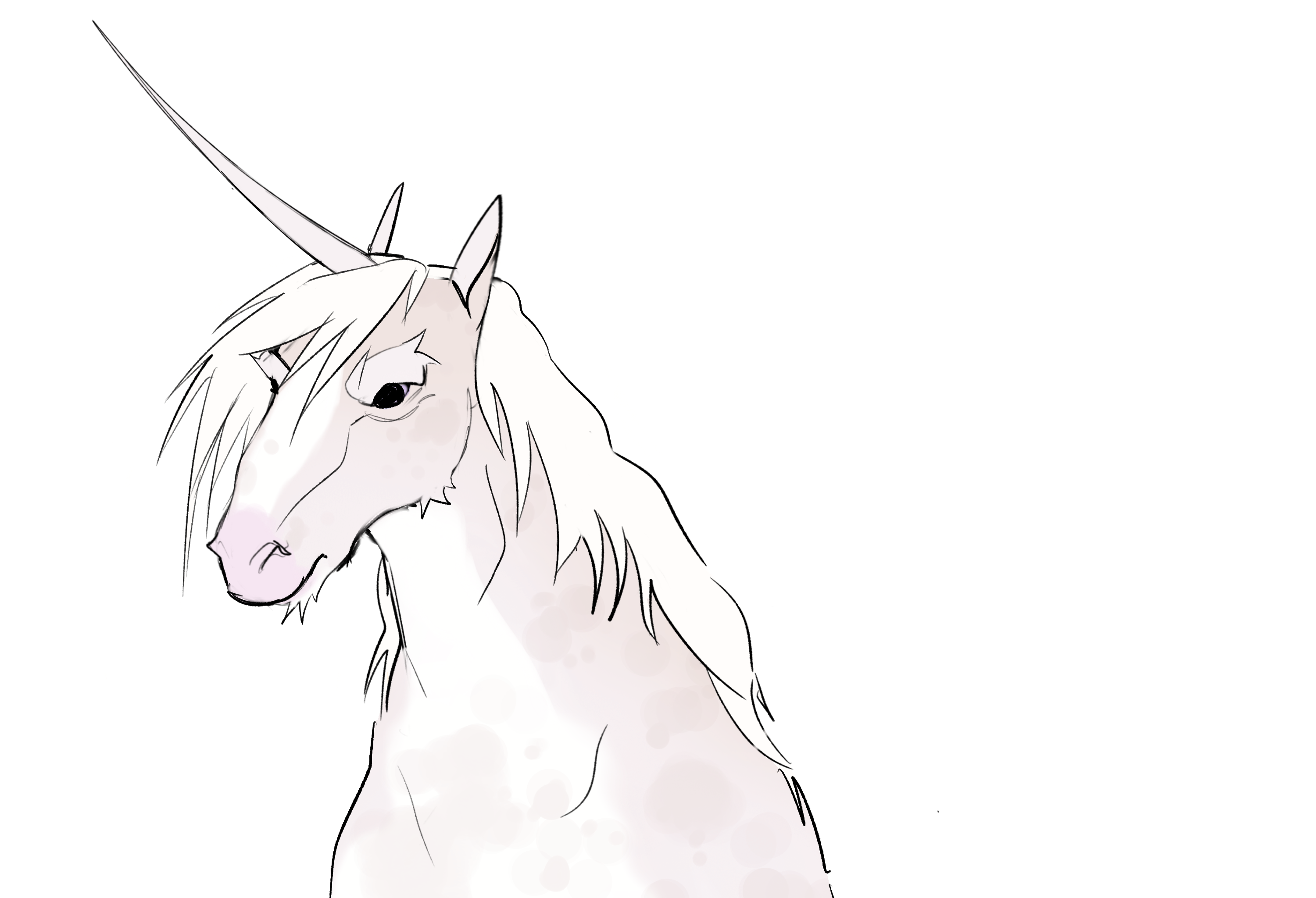 unicorn