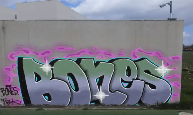 Graffiti artwork by bones