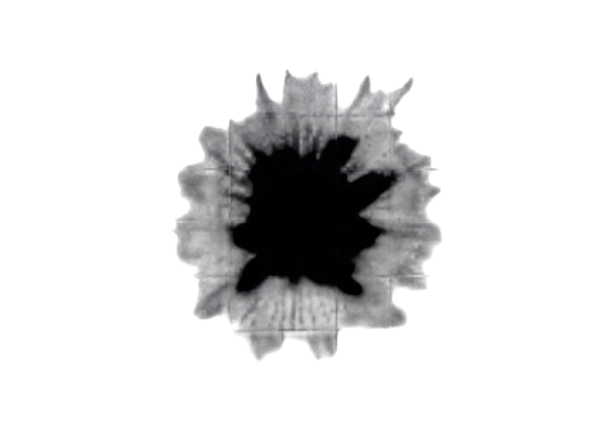 image removebg preview.png