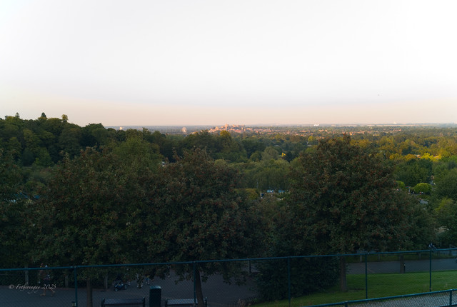 L1013820.jpg
