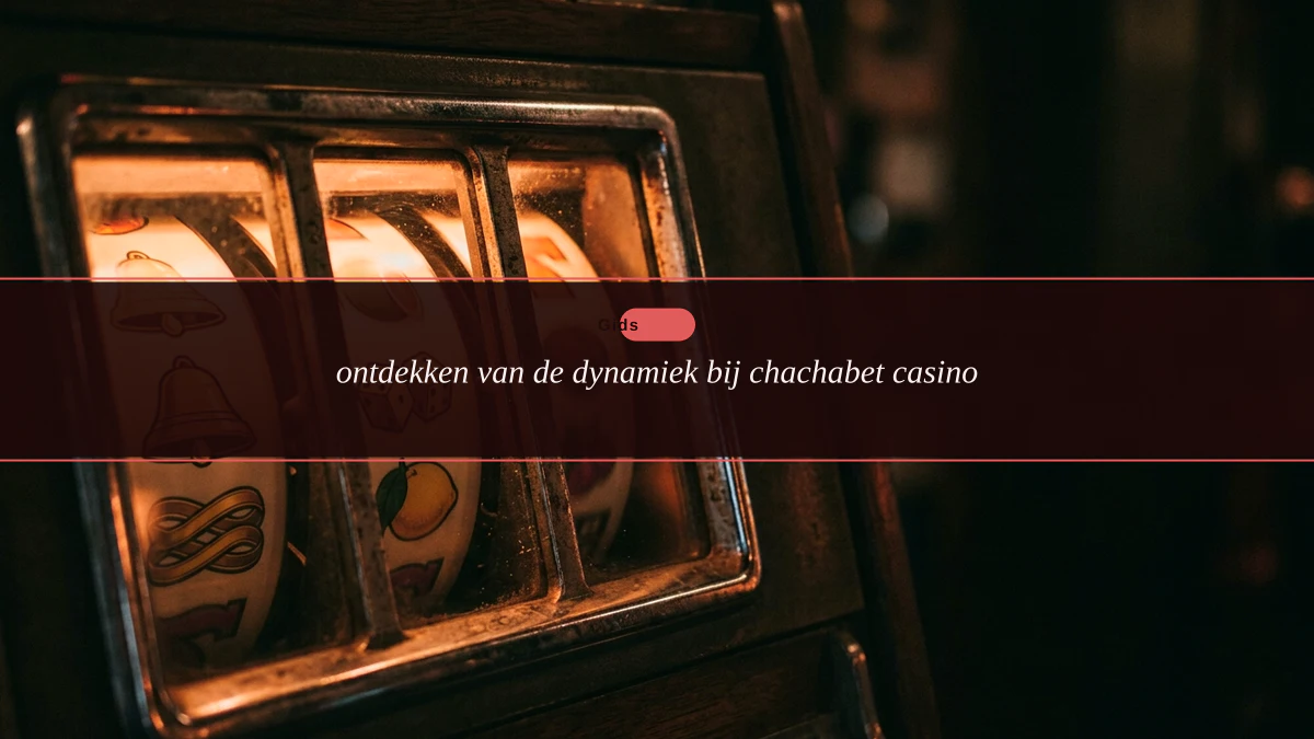 ontdekken van de dynamiek bij chachabet casino