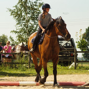 DSC03978