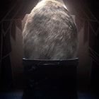 17.gif