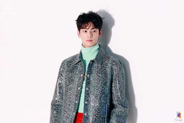 cha eun woo 1031449