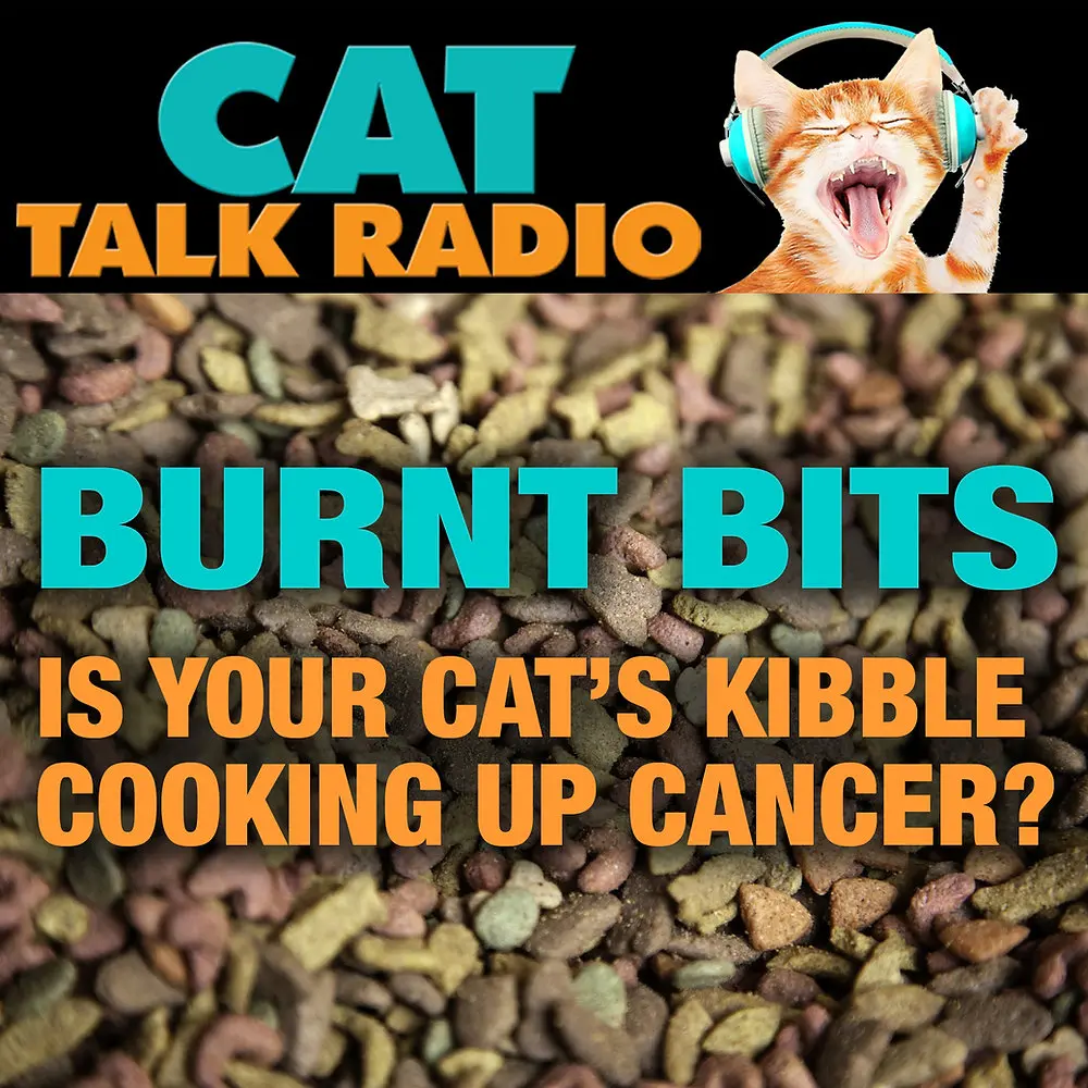 Feline Cancer Risk Linked to Charred Kibble