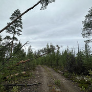 IMG 5246