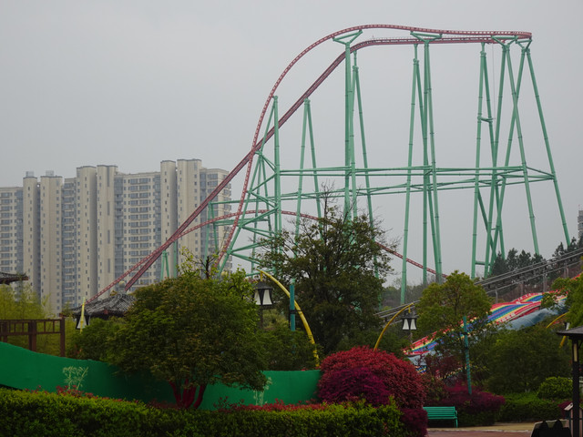 DSC08789.jpg