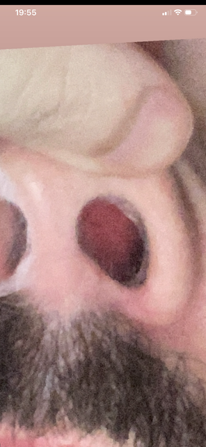 IMG 1387