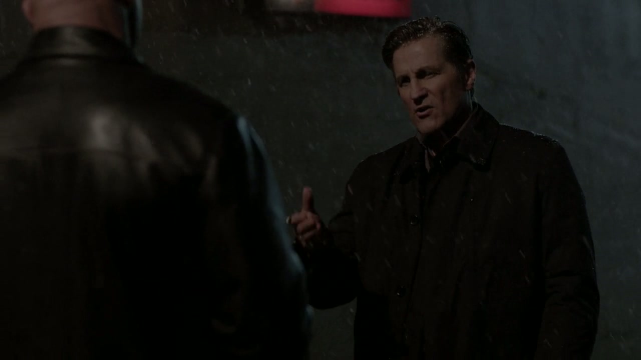 The Package Screenshot