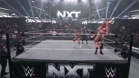 [Image: 111111111111111111111.gif]