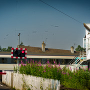 L1461436