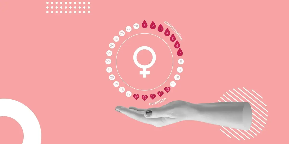 Estradiol Levels May Drive Daily Activity Swings in Menstruating Women