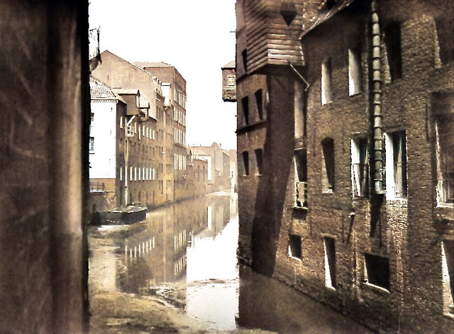 https://i.ibb.co/1tPdPytf/Rue-Maracci.jpg