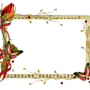 cluster-frame-160