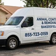 Wildlife trapping specialist setting humane trap Bakersfield