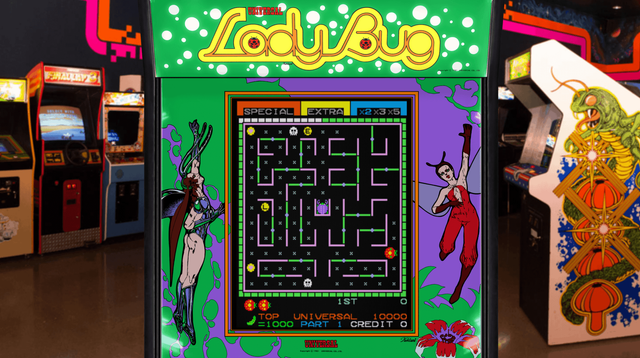 ladybug